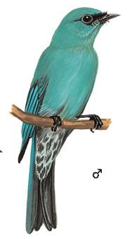 ͭ���l����̬����ͼ