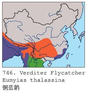 ͭ���l�������ֲ�ͼ