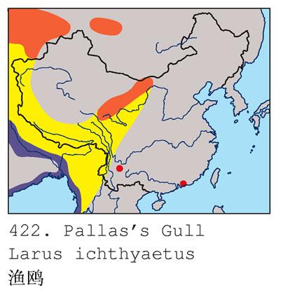 ��Ÿ�������ֲ�ͼ