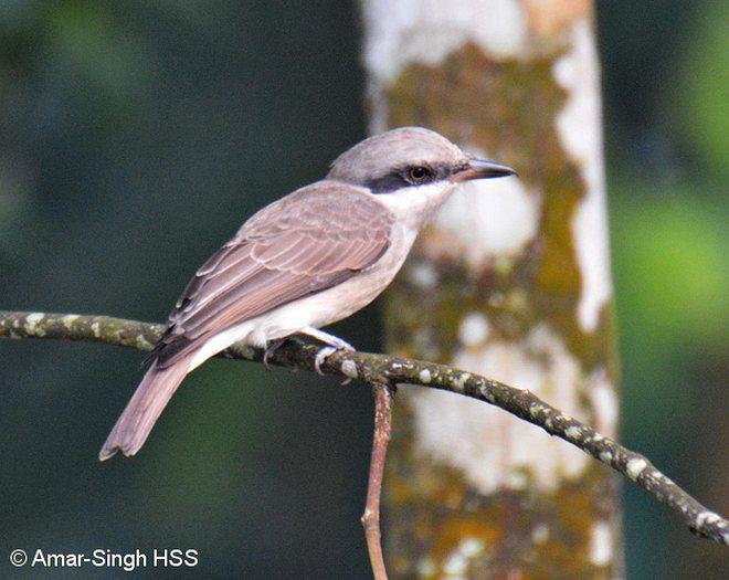 �������V��ͼƬ