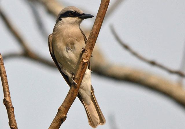 �������V