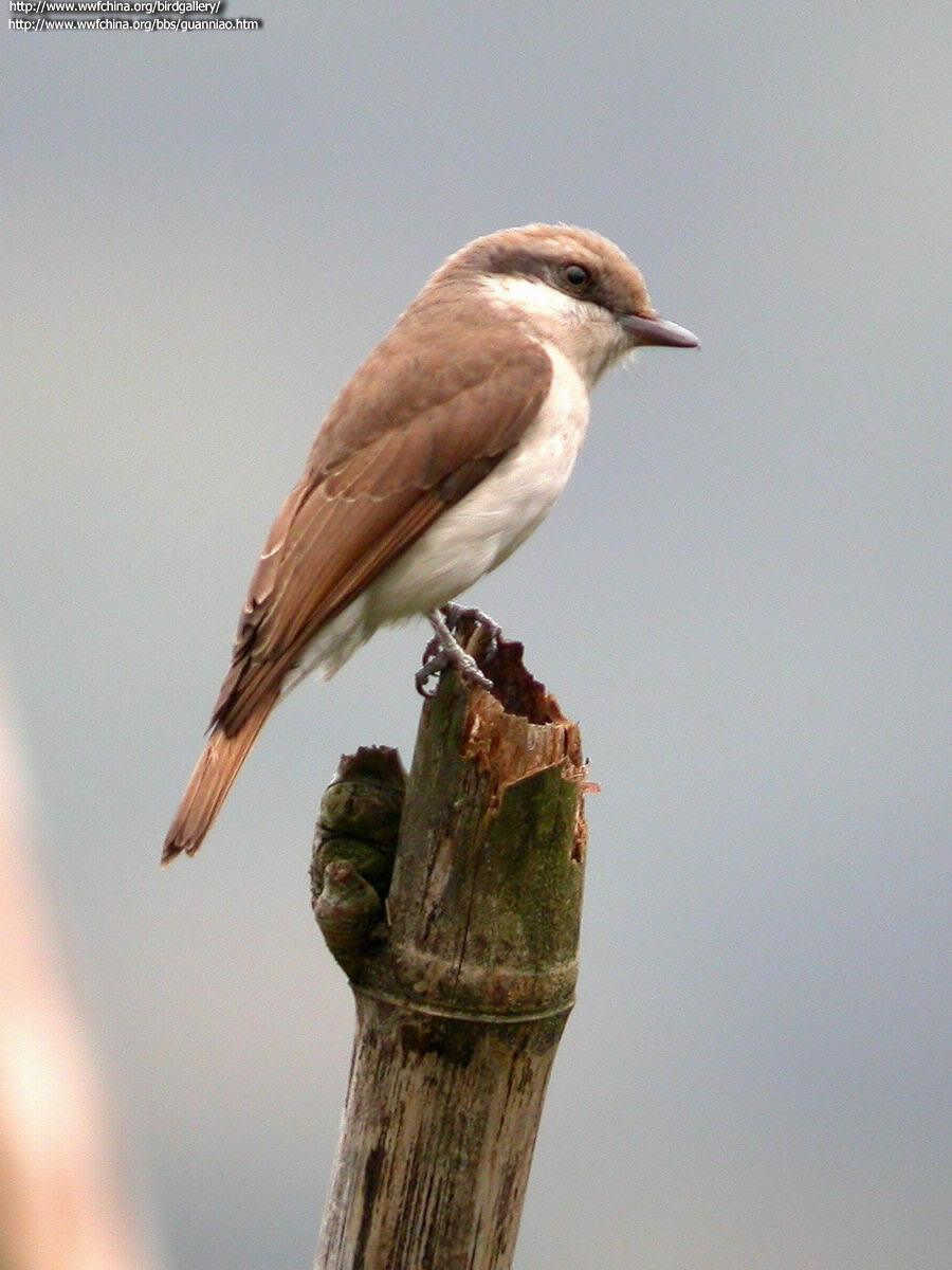 �������V