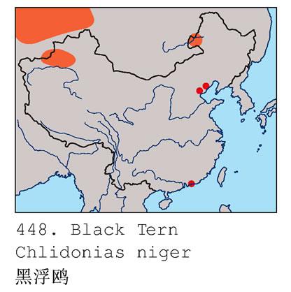 �ڸ�Ÿ�������ֲ�ͼ