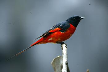 ��βɽ��������