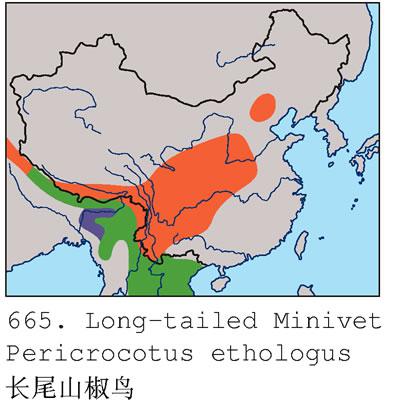 ��βɽ���񣺵����ֲ�ͼ