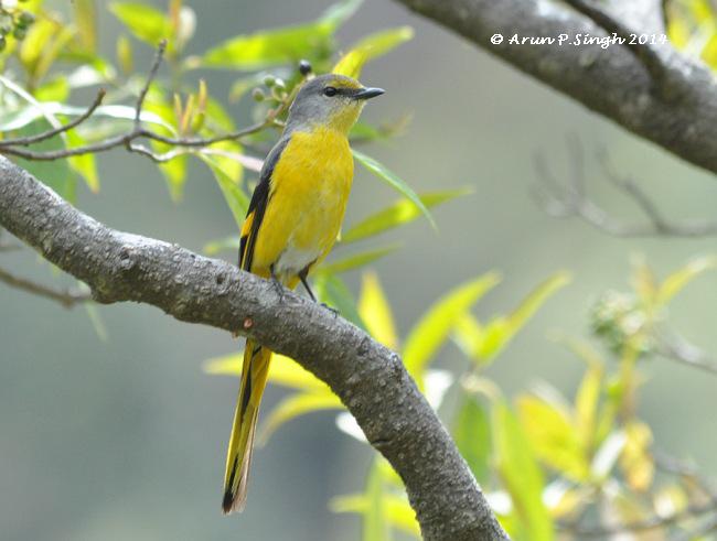 ��βɽ���񣺴���