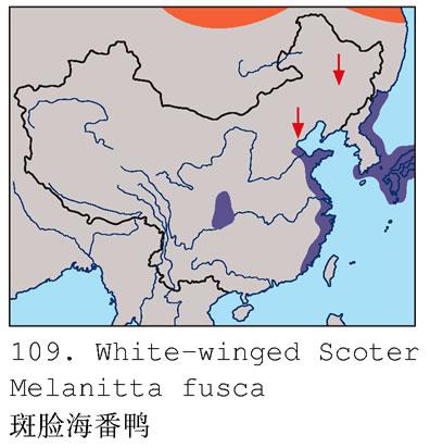 ��������Ѽ�������ֲ�ͼ