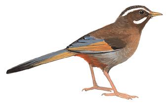 ��ɽ���̣���̬����ͼ