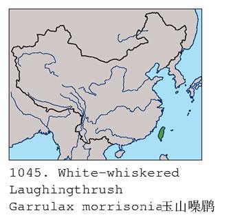 ��ɽ���̣������ֲ�ͼ