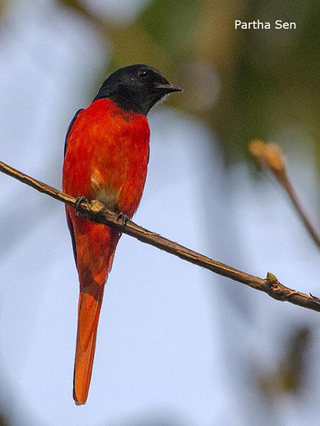 ����ɽ��������