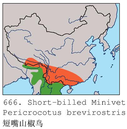 ����ɽ���񣺵����ֲ�ͼ