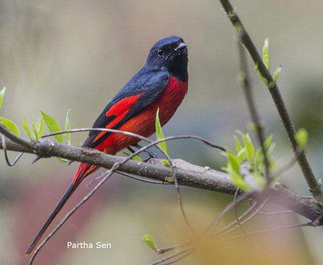 ����ɽ��������