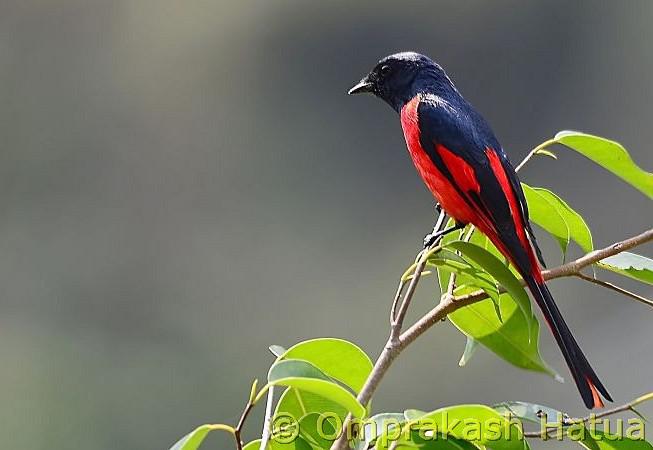 ����ɽ��������