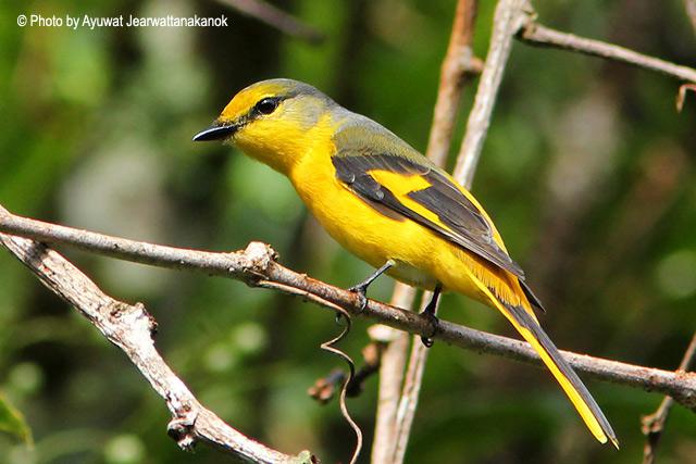 ����ɽ���񣺴���