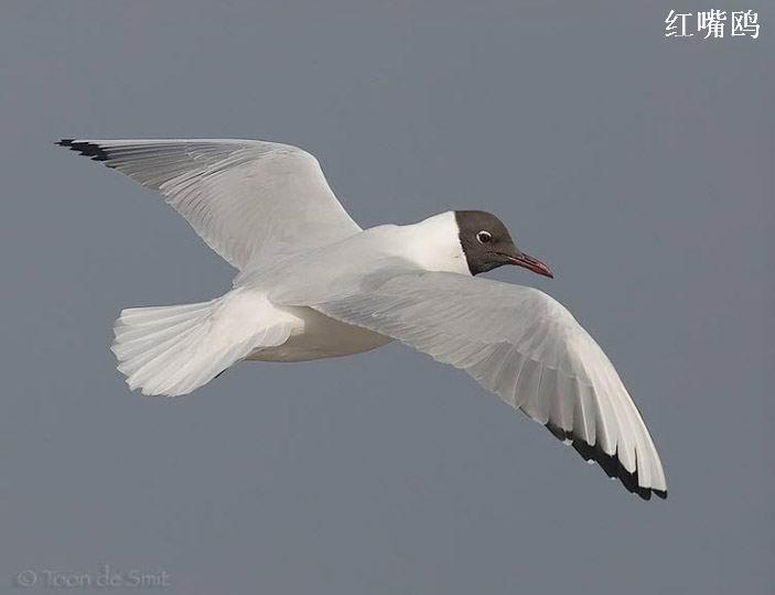 ����Ÿ��������û�аװ�