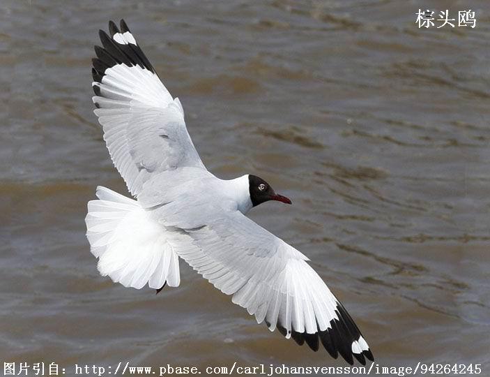 ��ͷŸ���������д��װ�