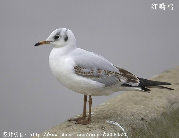 ����Ÿ�ǳ���