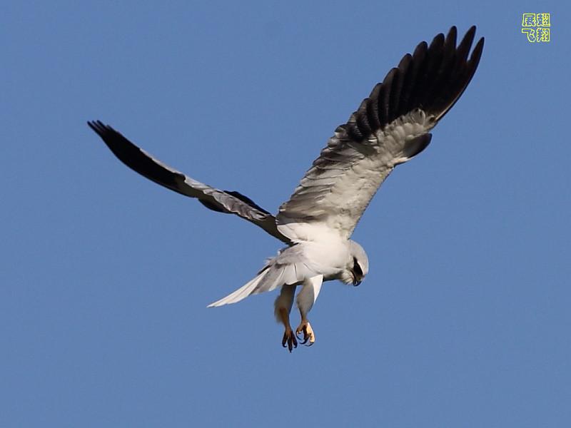 �ڳ�𰣬����չ�����