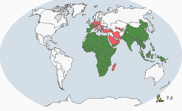 �ڳ�𰣺����ֲ�ͼ