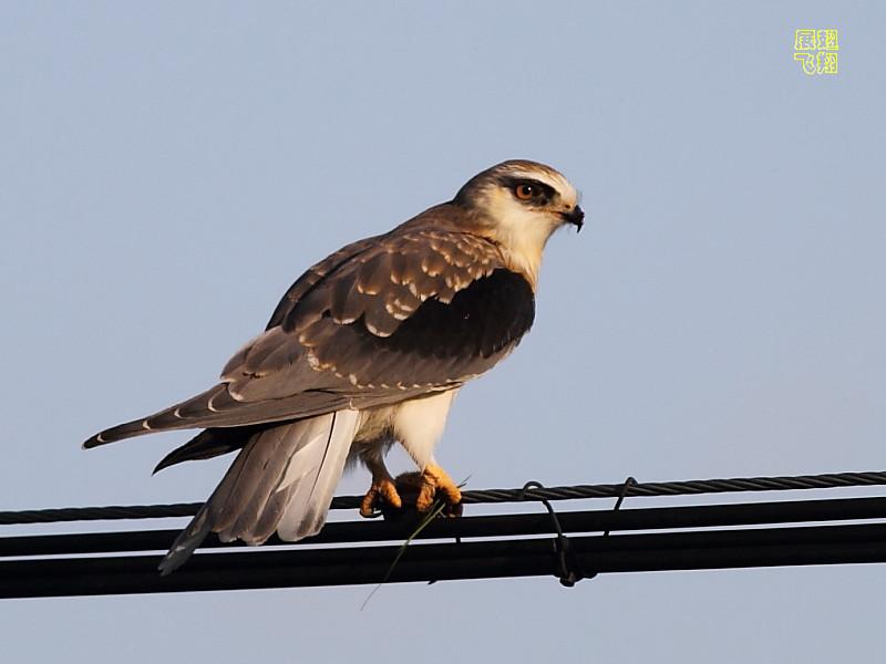 �ڳ�𰣬����չ�����