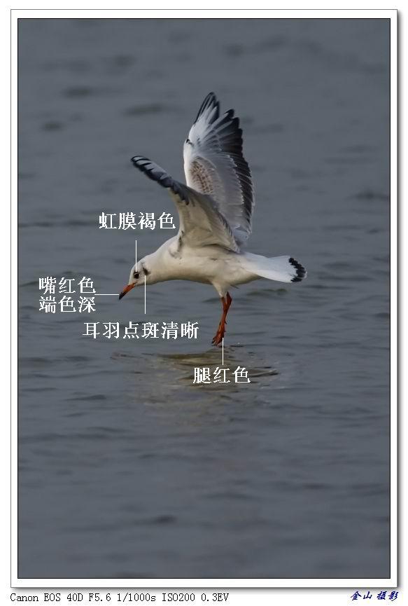 ����Ÿ���ǳ���