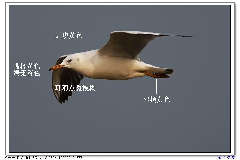 ϸ��Ÿ���ǳ���