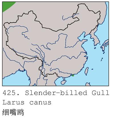 ϸ��Ÿ�������ֲ�ͼ