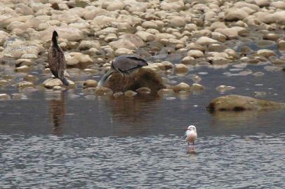 �η����ĵ���ϸ��Ÿ���������ڵ��״η���