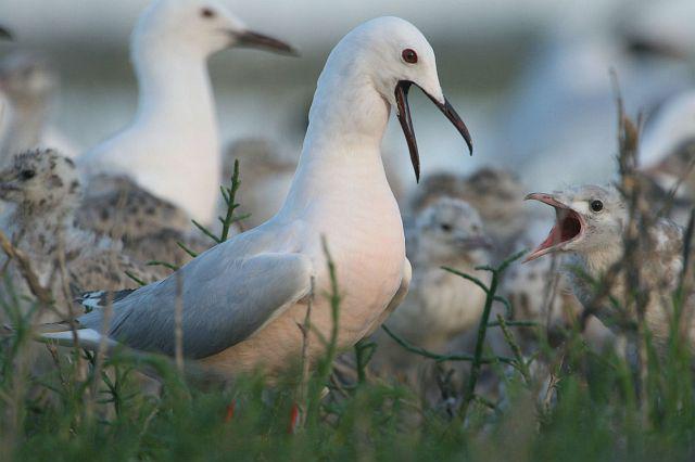 ϸ��Ÿ������