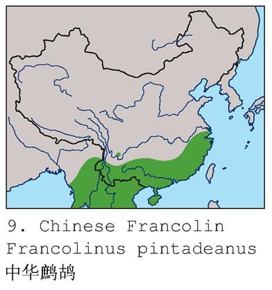 �л���𳣺�����ֲ�ͼ