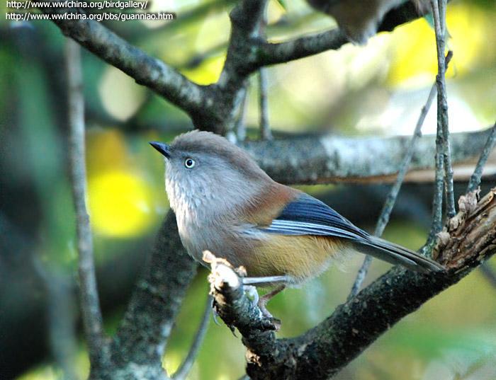 ��ͷȸ�̣����ڹ�����