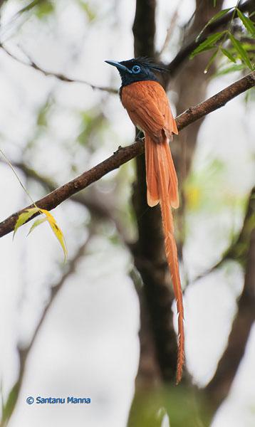 �ٴ���������ɫ�ͣ�����ӡ�ȣ�