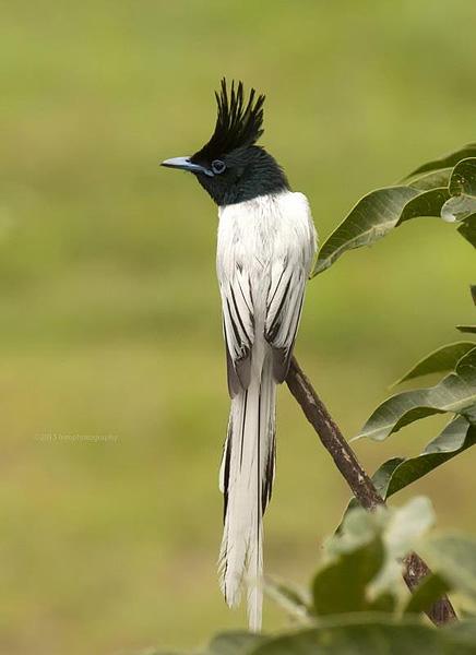 �ٴ��������ɫ�ͣ�����ӡ�ȣ�