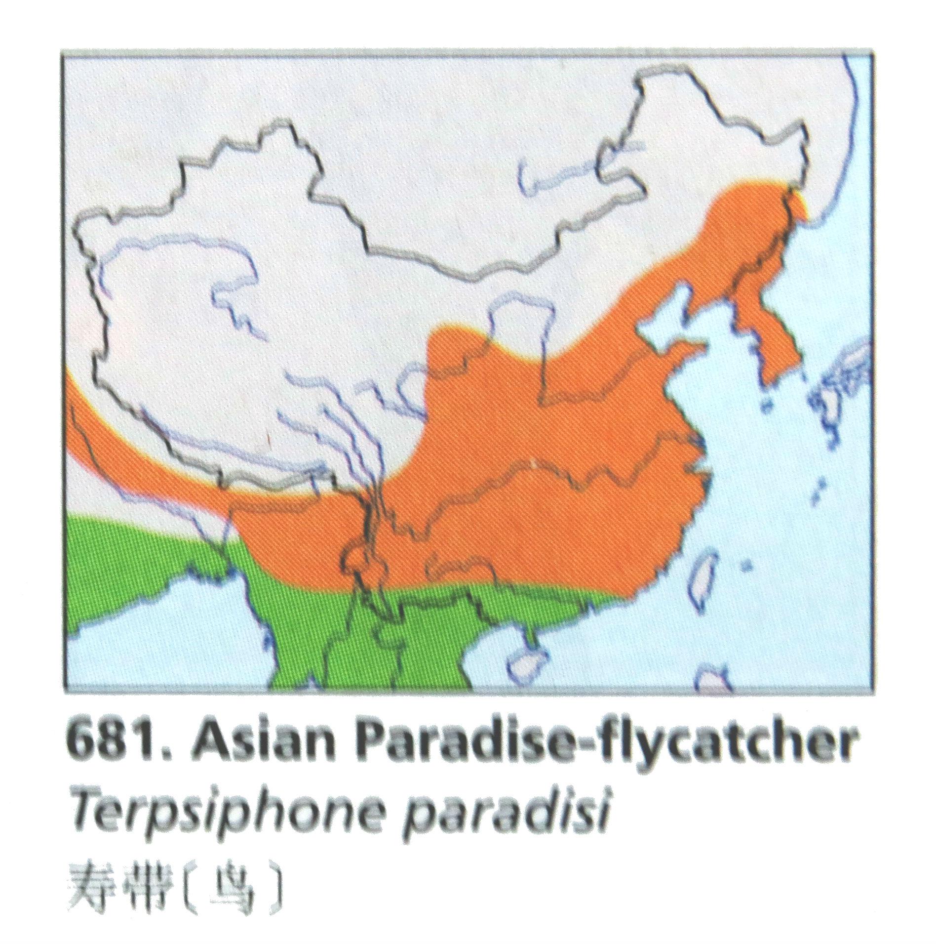 �ٴ��������ֲ�ͼ