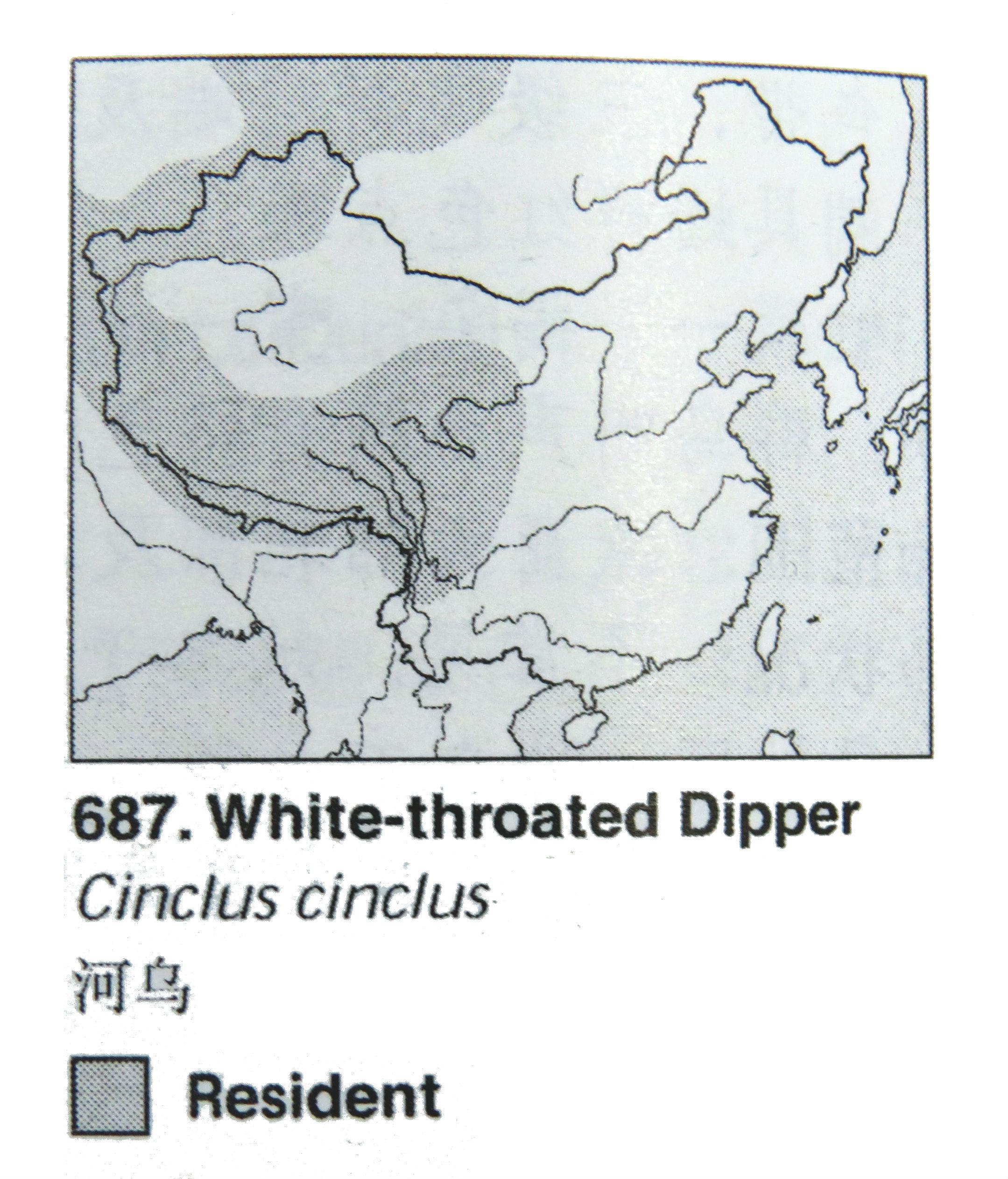 ���ڣ������ֲ�ͼ