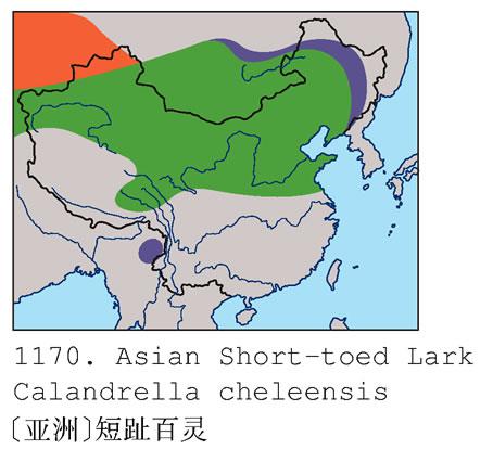 ���޶�ֺ���飺�����ֲ�ͼ