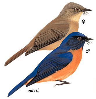 �ظ������l��̬����ͼ