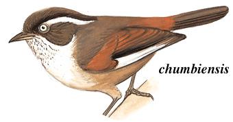 ��üȸ�̣���̬����ͼ