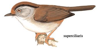 �ֶ�ȸ�̣���̬����ͼ