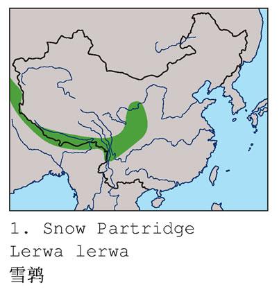 ѩ�ȵ����ֲ�ͼ