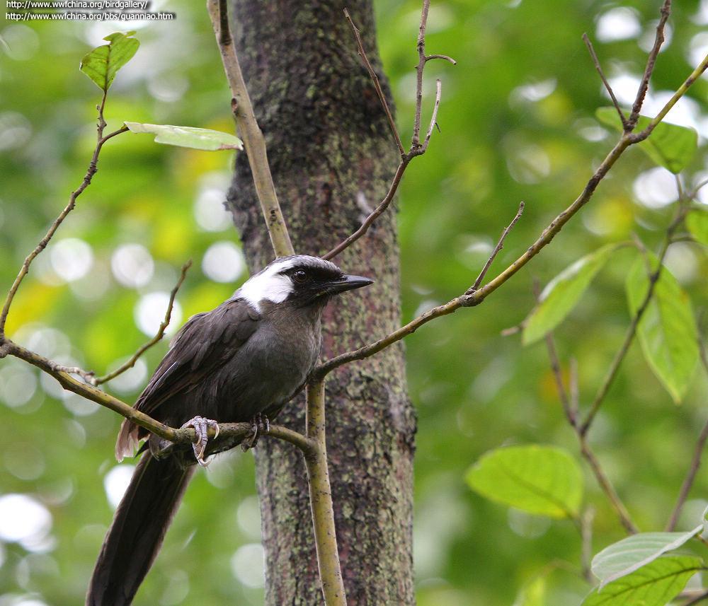 �������̵�ͼƬ