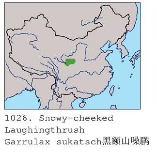 �ڶ�ɽ����