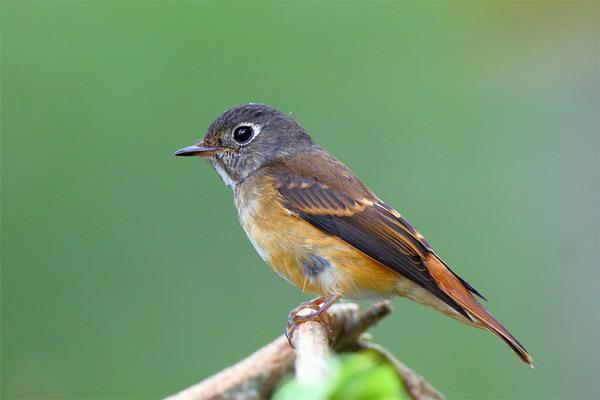 ��β���l��ͼƬ