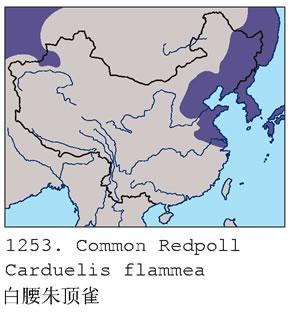 �����춥ȸ�����ֲ�ͼ