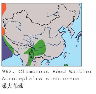 ��έݺ�����ֲ�ͼ