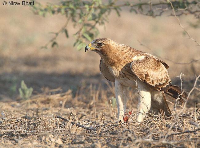 ѥ�����ͼƬ