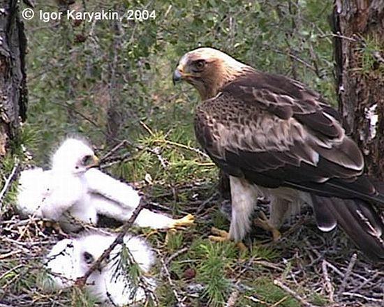 ѥ���񣺴���ͳ���