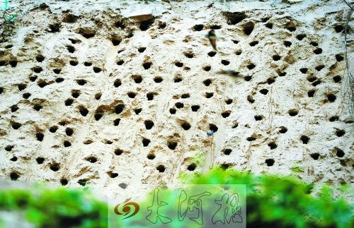 ��ɳ��ĳ�Ѩ