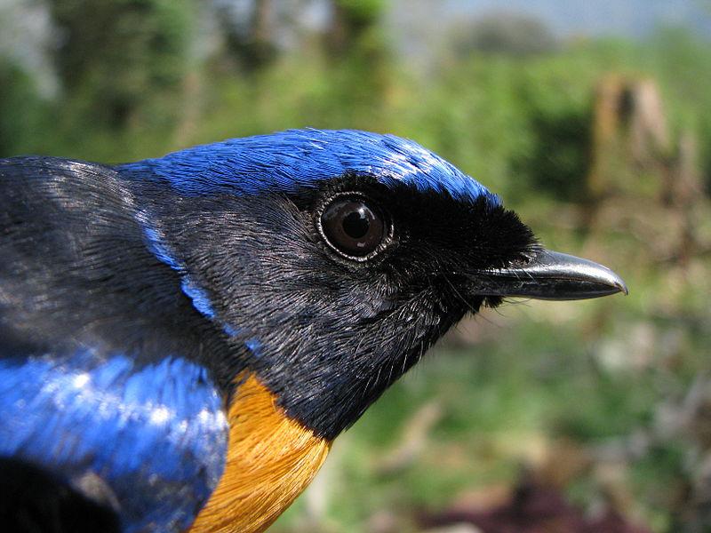 �ظ����l������ͷ��