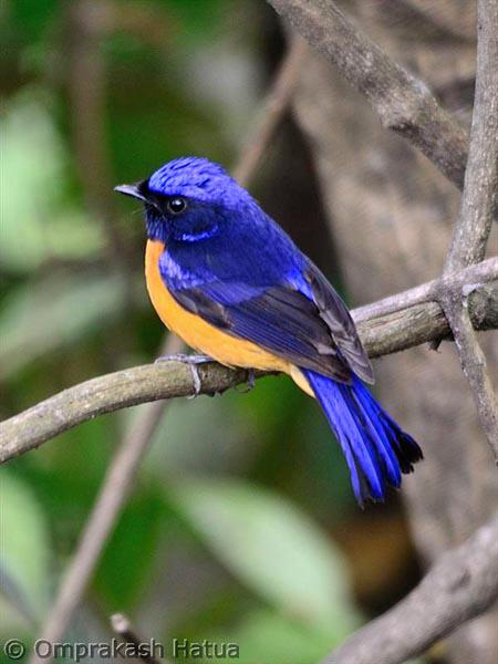 �ظ����l������